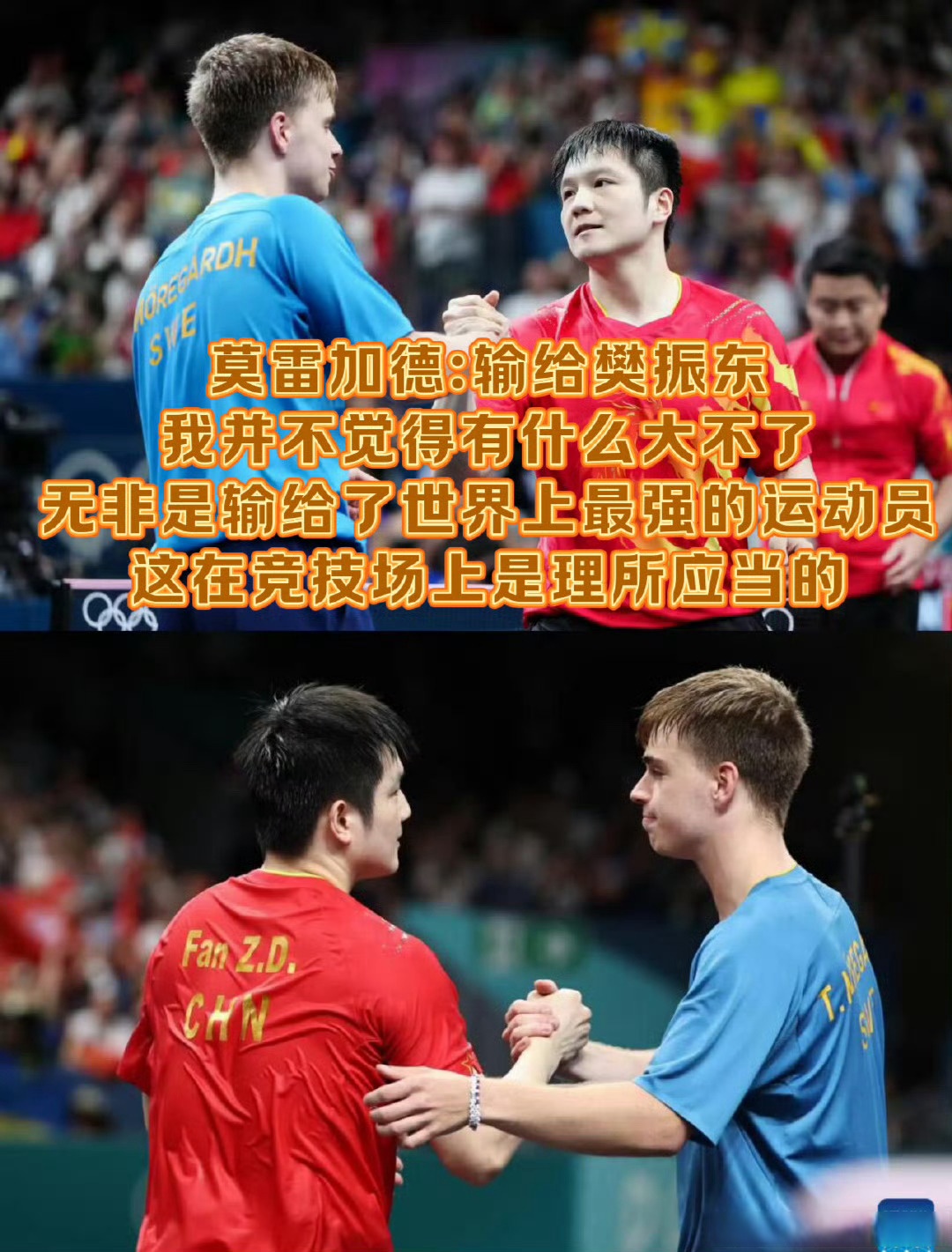 韩国队完胜英格兰队，樊振东关键制胜