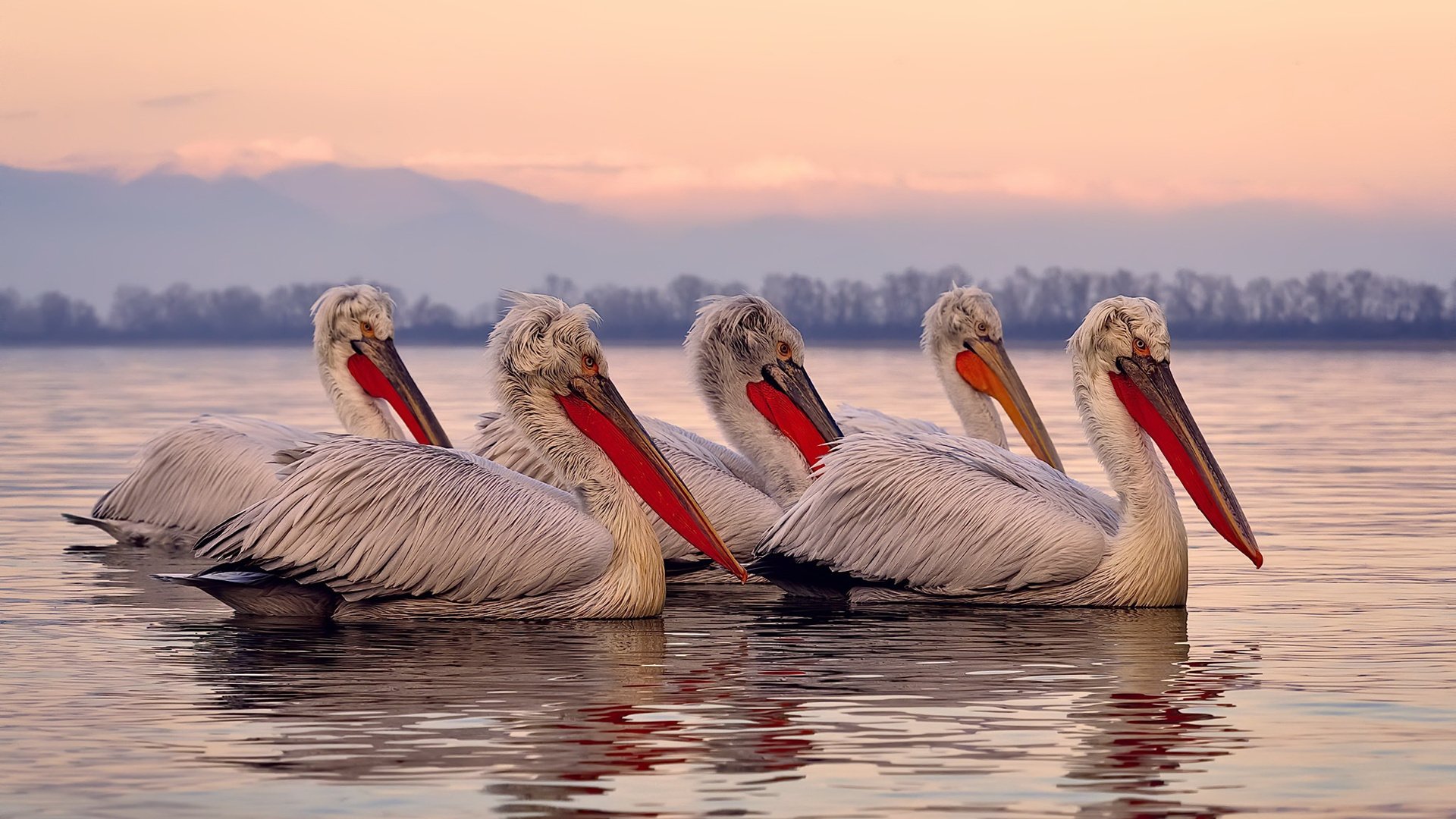 漆黑之神,那个让所有战术板空白的恩佐之夜
