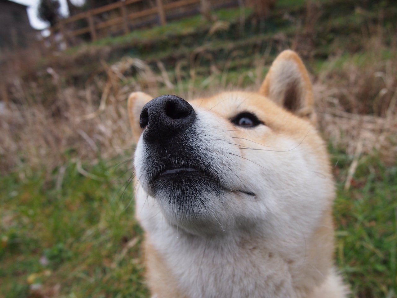 平行时差的抢七，巴拉圭一场胜仗，在两个半球同时奏响终场哨