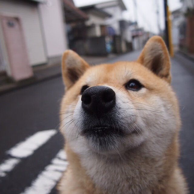 赛场双城记，斯坦福桥的狂欢与福塔莱萨的审判