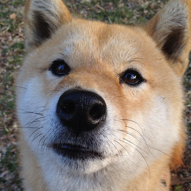 爱游戏官方-您希望文章更具独特性，这很棒。我们不妨先跳出报道框架，从几个不同维度构思标题，这能让后续行文拥有更独特的灵魂