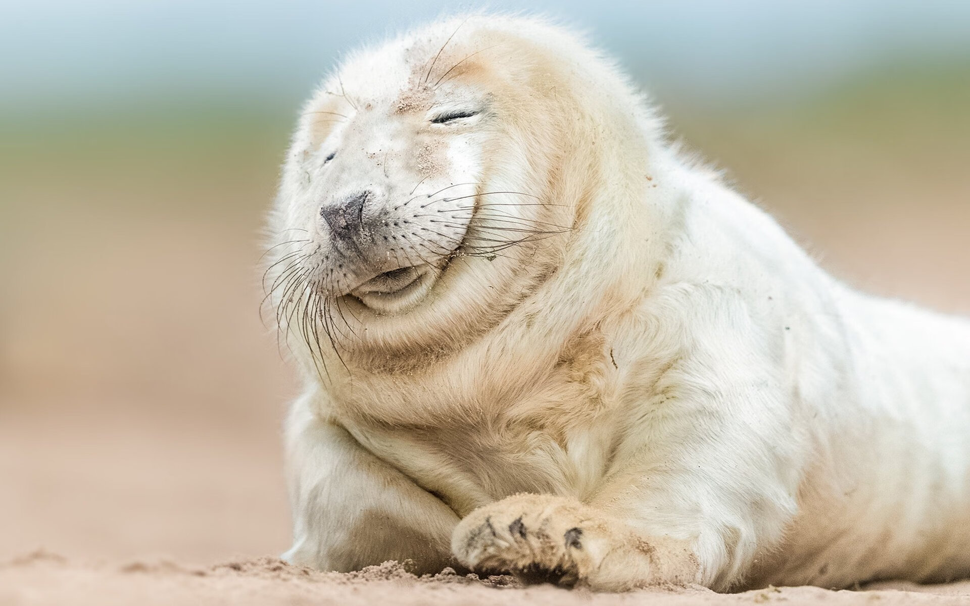 历史首次碰撞定基调，阿根廷横扫阿森纳，巴尔韦德化身定海神针