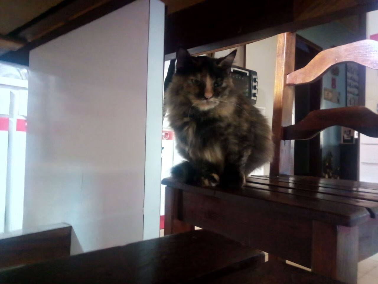 临界点,赛道上的刹车与球场上的统治