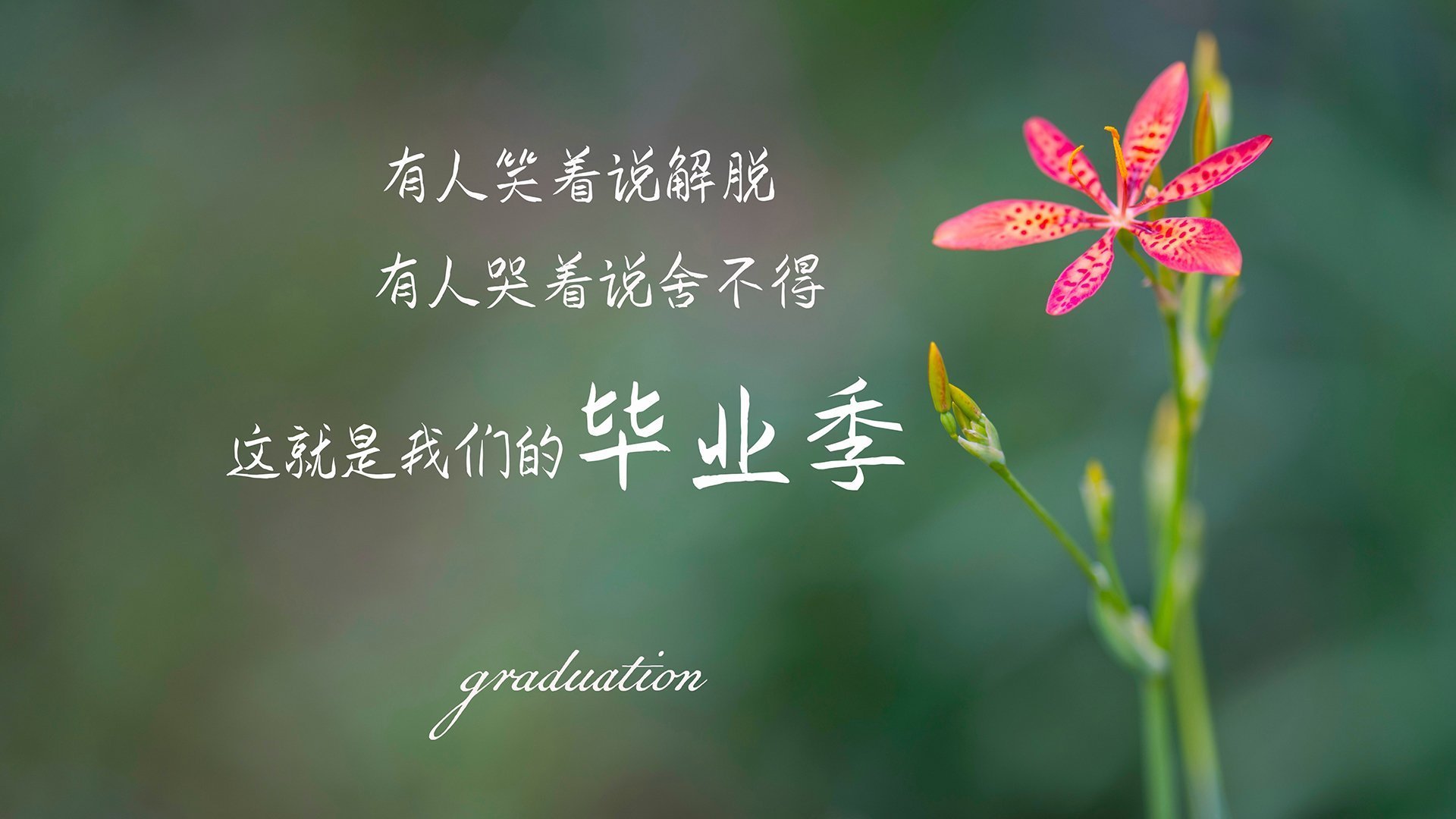 灼烧的雨林与沙漠的风,戈麦斯,如何用一击在世界的缝隙中雕出永恒