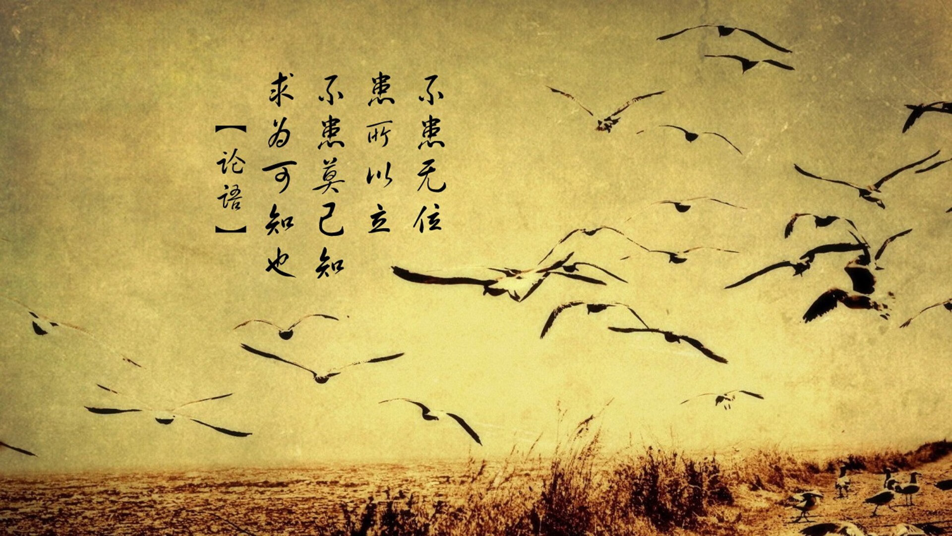 爱游戏娱乐-争议与荣耀，格纳布里助厄瓜多尔淘汰南非，国际足联紧急介入调查唯一参赛资格