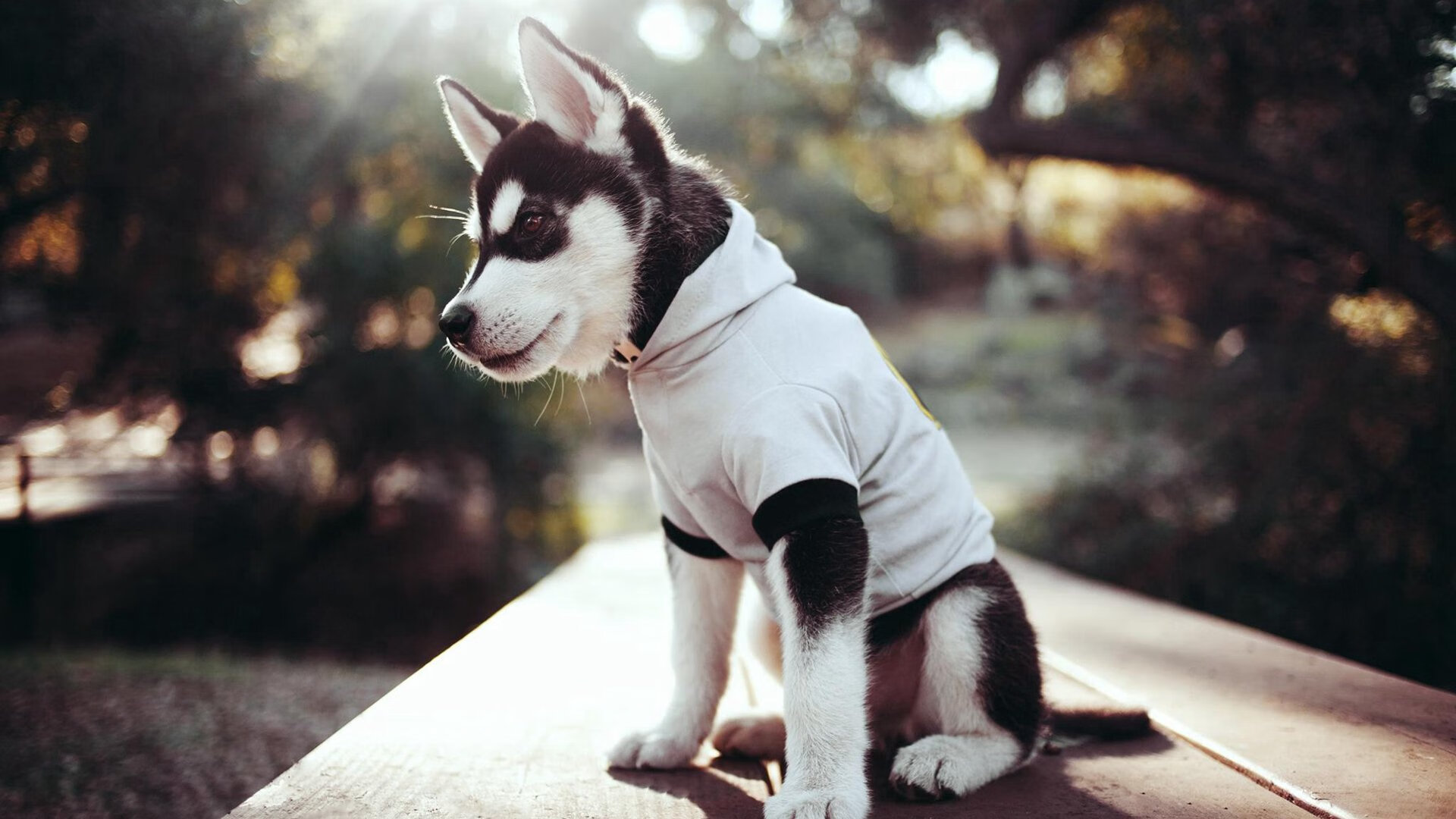 当团队体系遇见绝对天赋,从老鹰压制掘金到伦纳德抢七封神