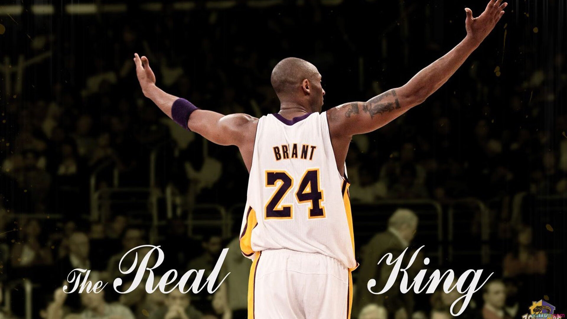 迷宫之心，杰伦·格林在世界排名争夺战之夜的持续杀伤美学