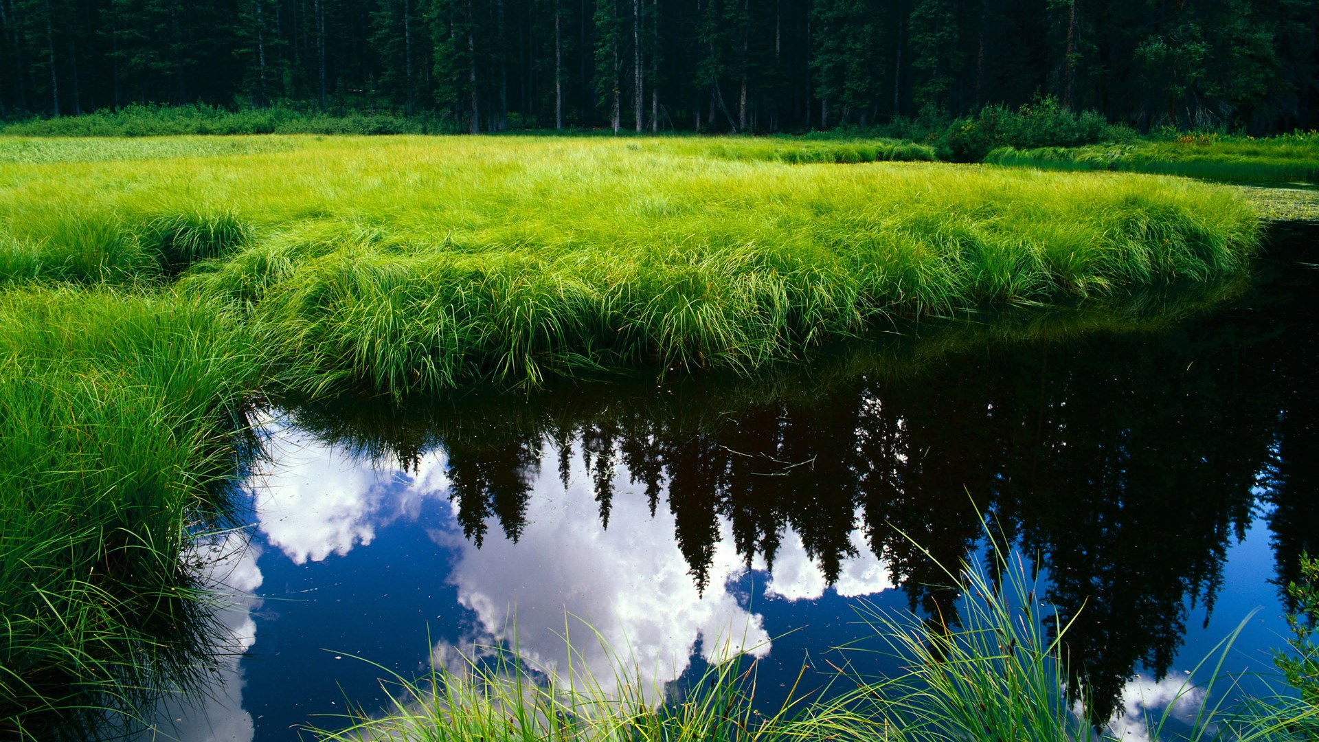 掘金狂胜灰熊背后的秘密武器，哈利伯顿如何成为关键先生