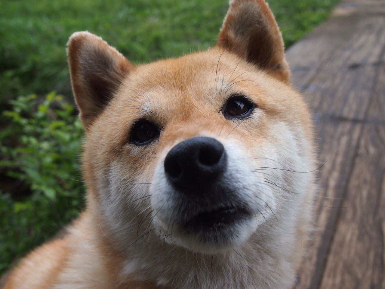 爱游戏官网-王师西进！班凯罗化身弑龙利刃，国王正面对决击溃山西钢铁防线