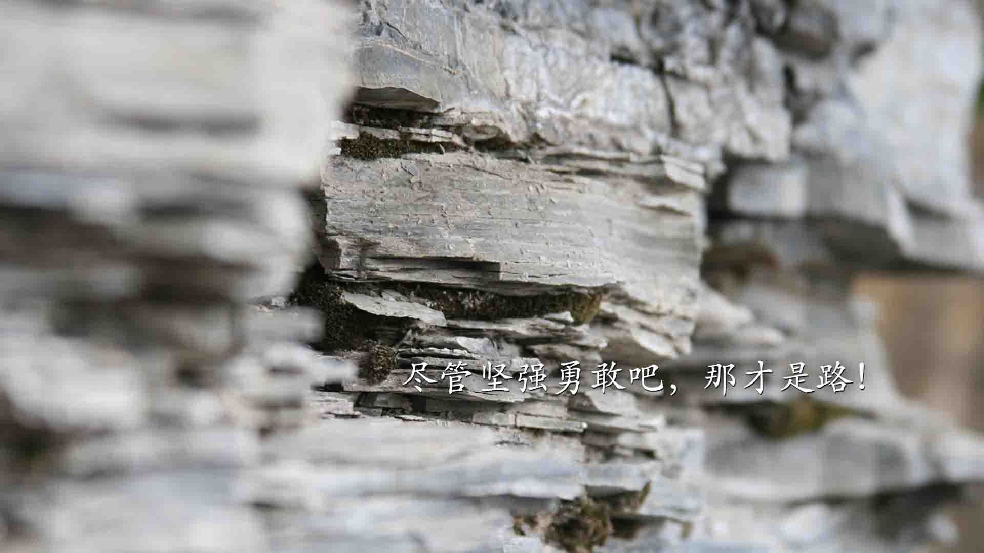 沙漠之巅的独白,2026世界杯,内马尔一剑封喉,卡塔尔黑马之战书写唯一传奇