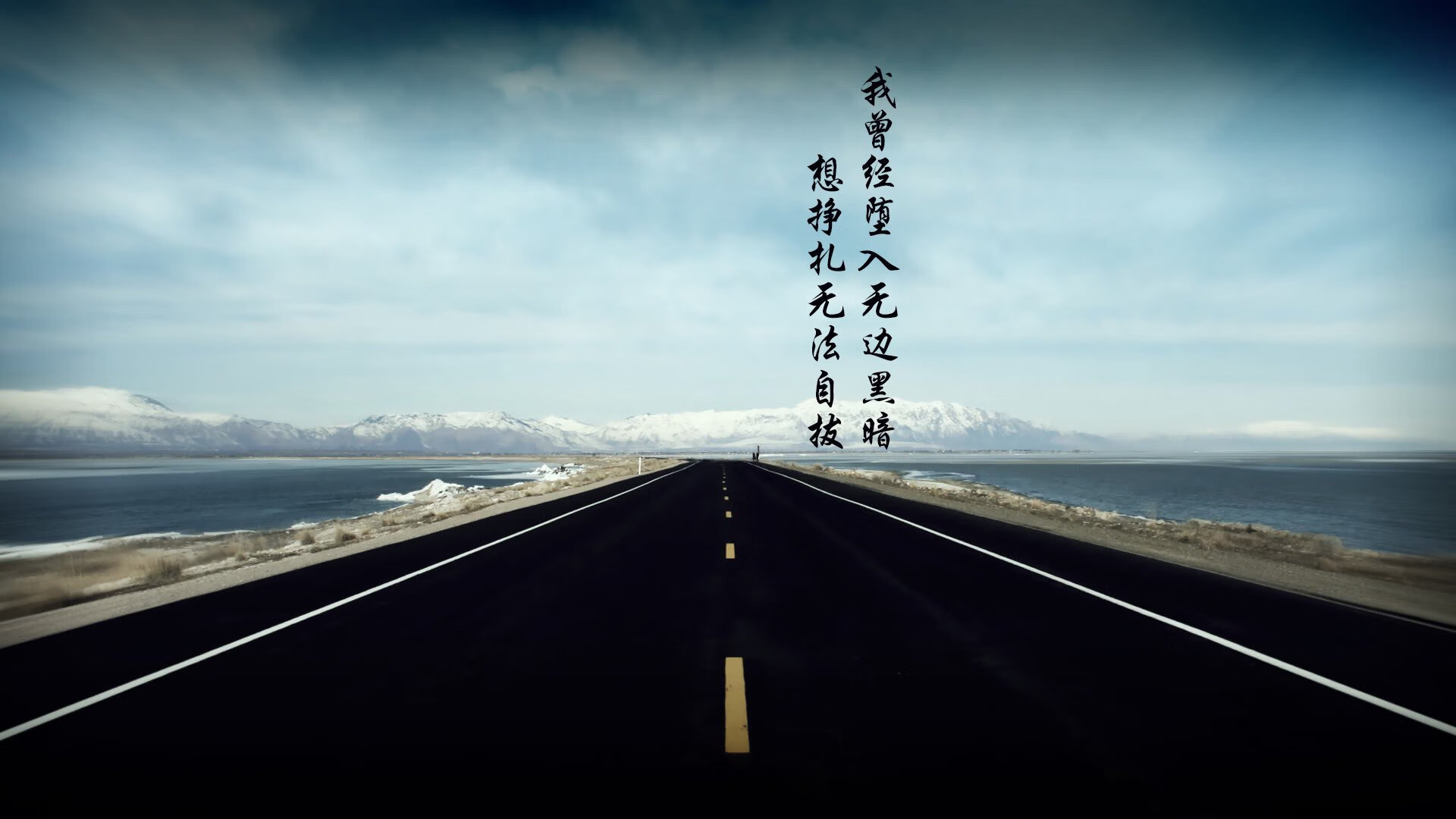 逆光之翼,2026世界杯D组生死战,葡萄牙如何用默契击穿荷兰,萨内独舞成唯一答案