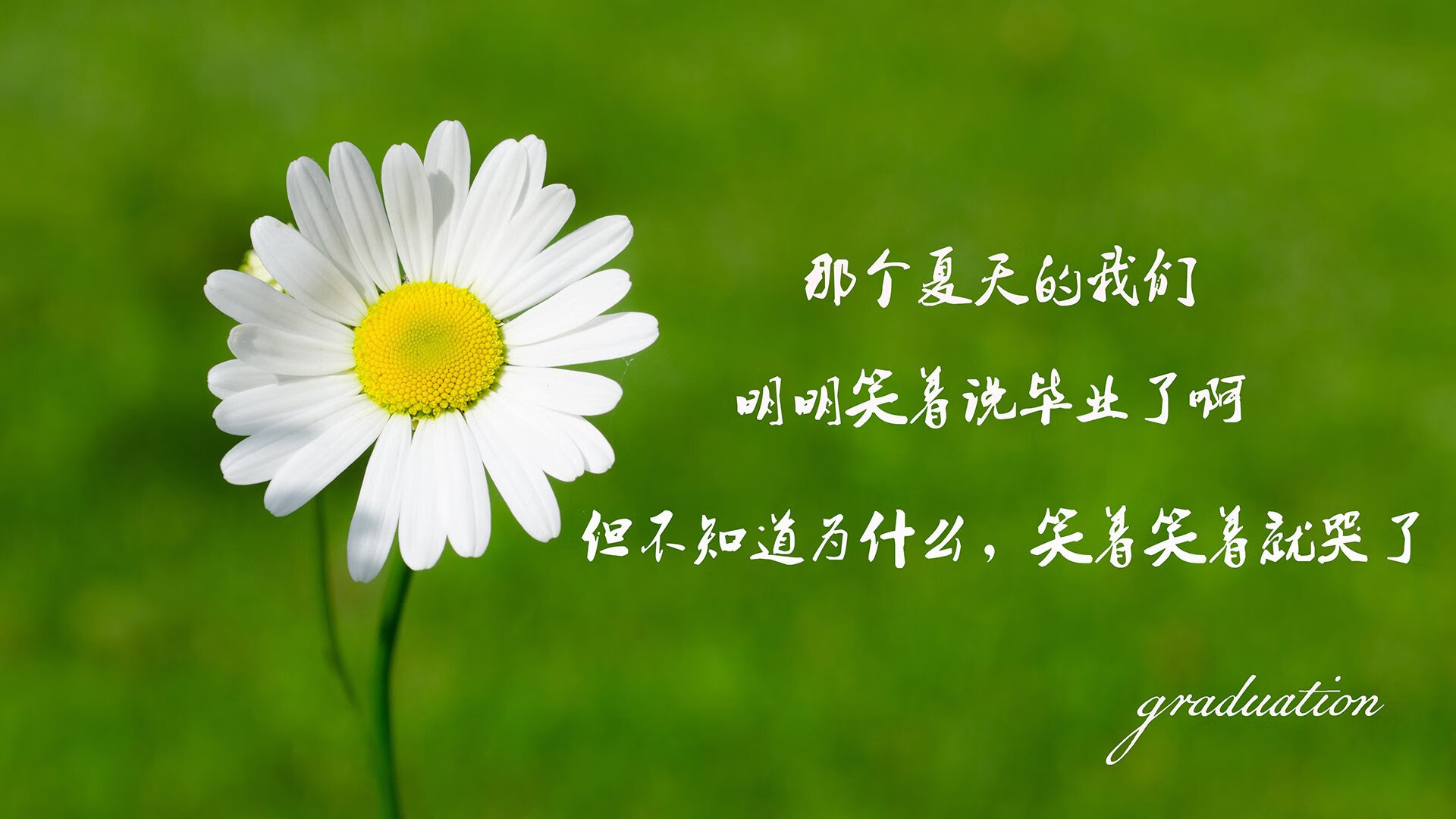 蓝武士的孤独加冕,2026世界杯C组,当日本完胜喀麦隆,苏亚雷斯用最后一舞抢走所有目光