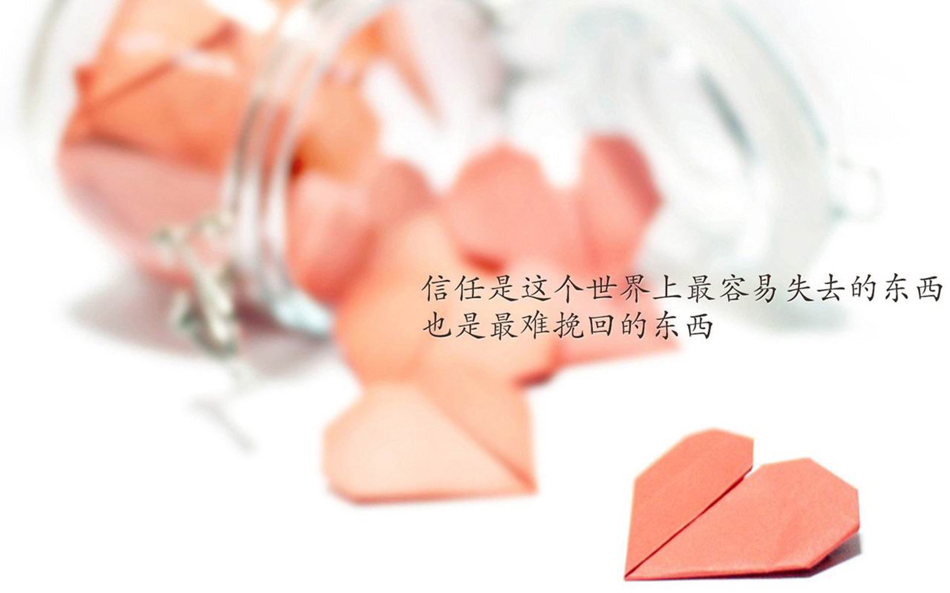 一剑封喉，佩德里致命一击背后的荷兰战术革命，2026世界杯八分之一决赛的临场博弈完美范本