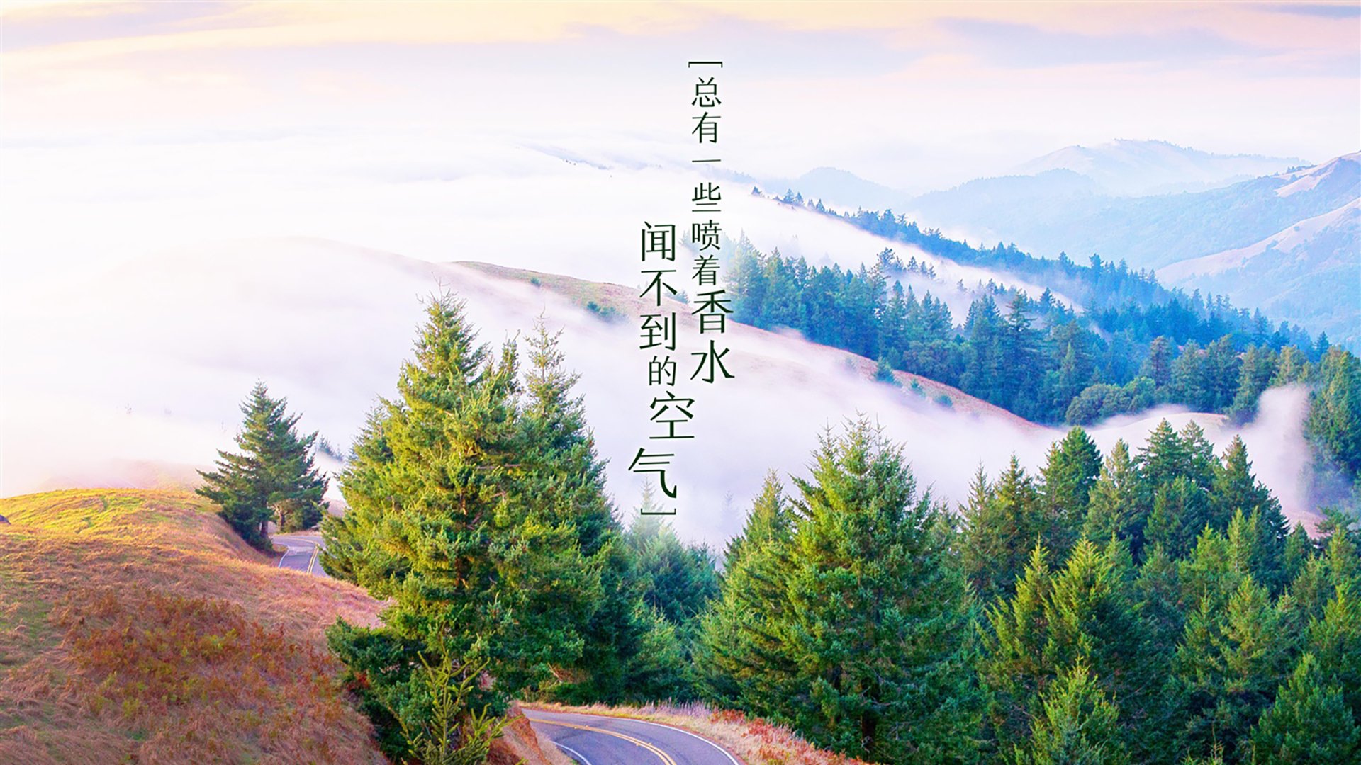 爱游戏大厅-孤星耀世，2026世界杯半决赛，巴雷拉一人改写尼日利亚与加拿大的命运交锋