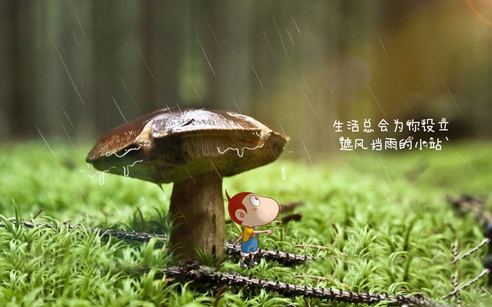 2026世界杯C组风云突变，匈牙利钢铁洪流碾碎德国战车，迪亚斯领衔替补奇兵制造最冷一夜